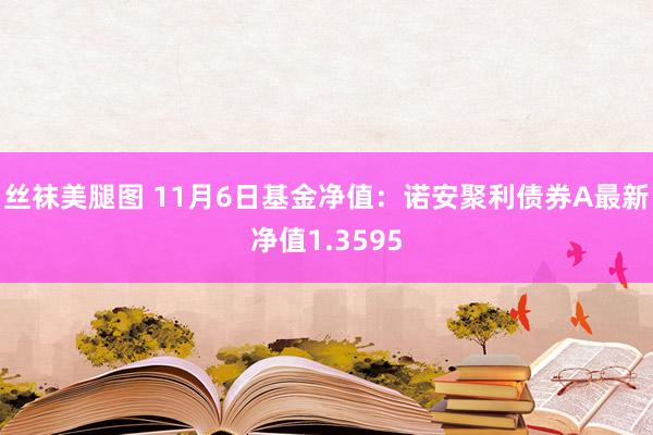丝袜美腿图 11月6日基金净值：诺安聚利债券A最新净值1.3595