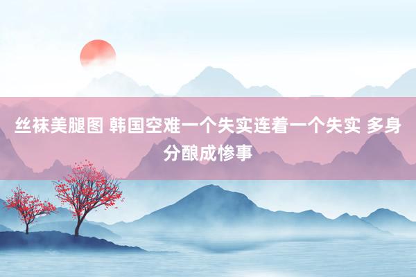 丝袜美腿图 韩国空难一个失实连着一个失实 多身分酿成惨事