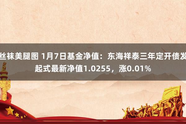 丝袜美腿图 1月7日基金净值：东海祥泰三年定开债发起式最新净值1.0255，涨0.01%