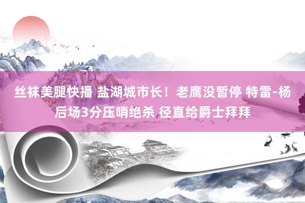丝袜美腿快播 盐湖城市长！老鹰没暂停 特雷-杨后场3分压哨绝杀 径直给爵士拜拜