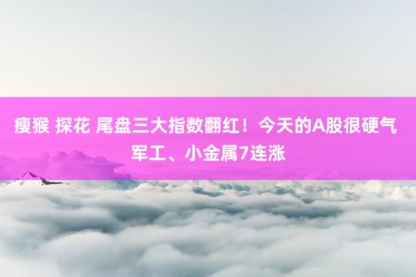 瘦猴 探花 尾盘三大指数翻红！今天的A股很硬气 军工、小金属7连涨