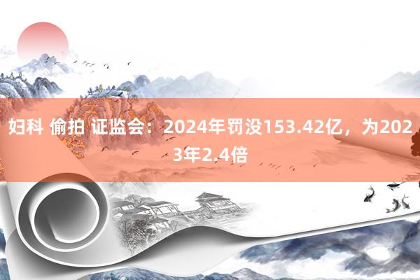 妇科 偷拍 证监会：2024年罚没153.42亿，为2023年2.4倍