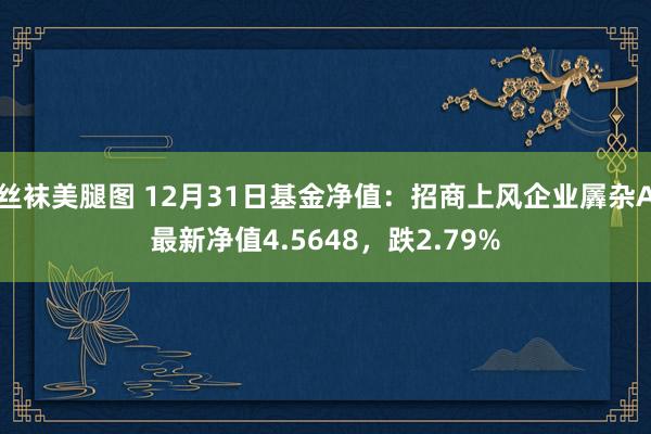 丝袜美腿图 12月31日基金净值：招商上风企业羼杂A最新净值4.5648，跌2.79%