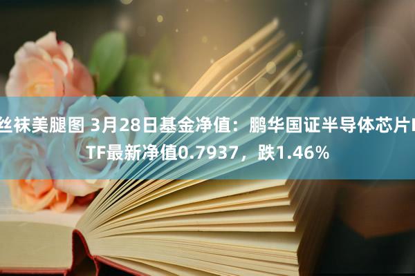 丝袜美腿图 3月28日基金净值：鹏华国证半导体芯片ETF最新净值0.7937，跌1.46%