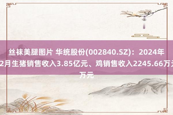 丝袜美腿图片 华统股份(002840.SZ)：2024年12月生猪销售收入3.85亿元、鸡销售收入2245.66万元