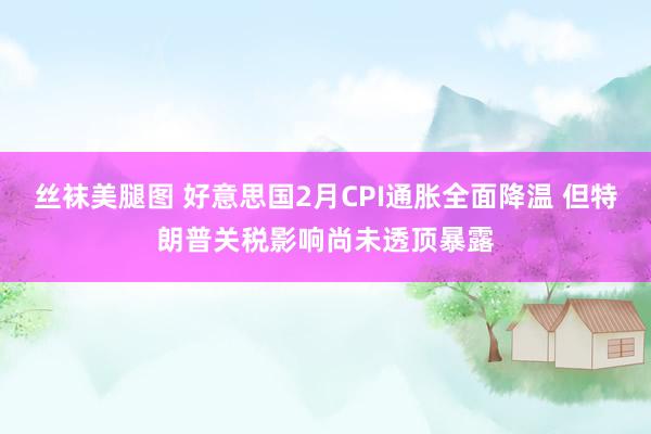 丝袜美腿图 好意思国2月CPI通胀全面降温 但特朗普关税影响尚未透顶暴露