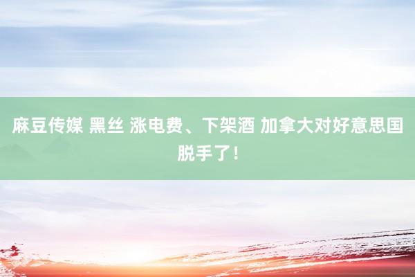 麻豆传媒 黑丝 涨电费、下架酒 加拿大对好意思国脱手了！