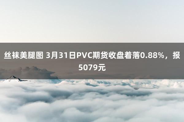 丝袜美腿图 3月31日PVC期货收盘着落0.88%，报5079元